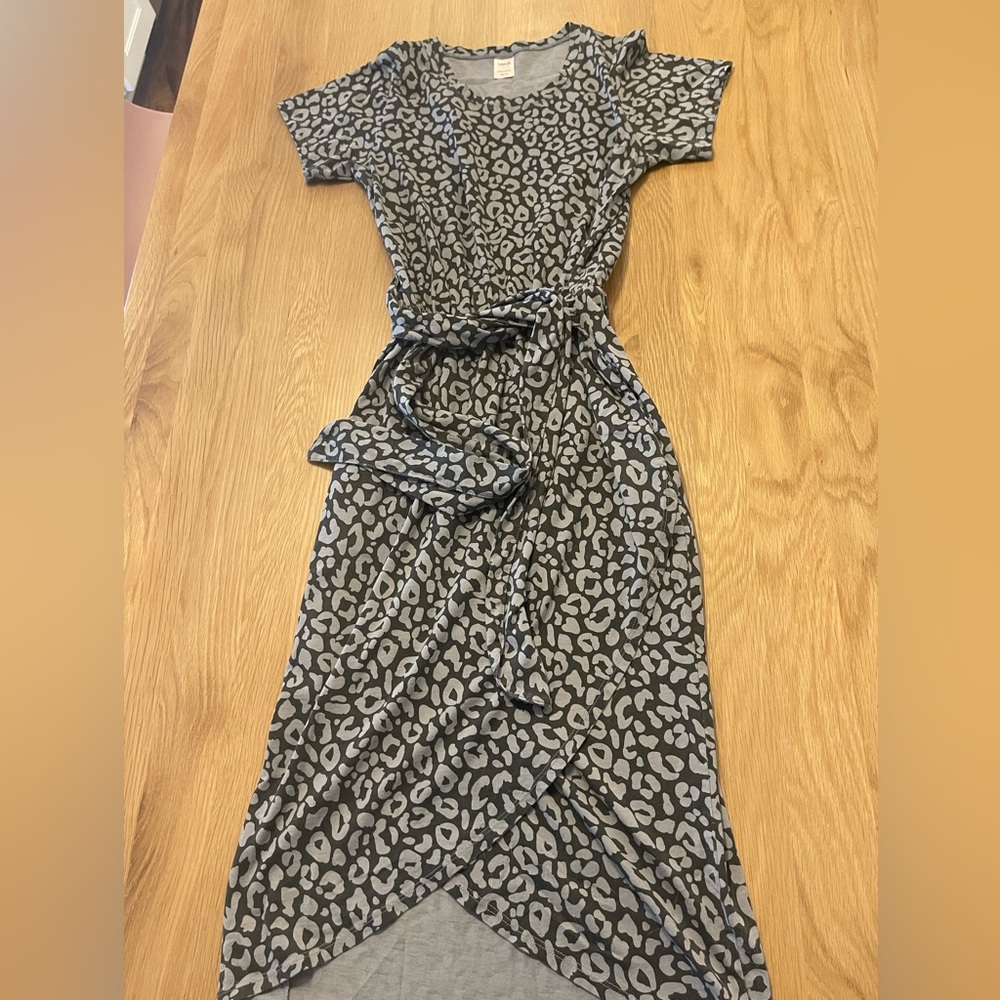 Smash and Tess leopard print dress
